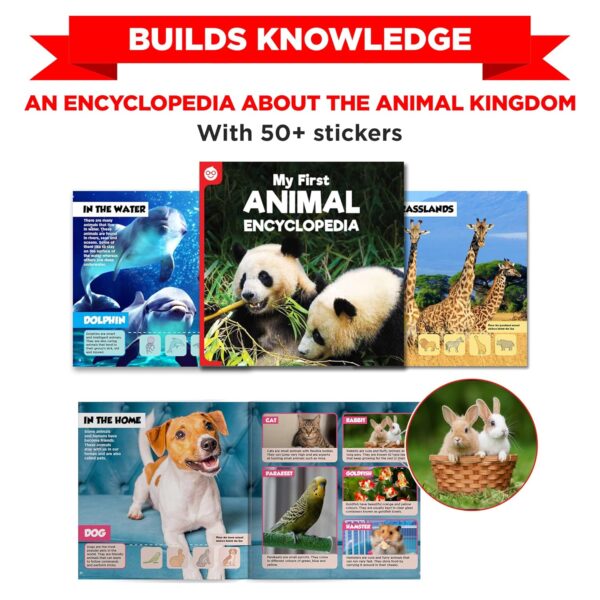 Einstein Box Featuring Disney for 4-5-6 Year Old Boys/Girls | Disney Gift Toys for Kids | Learning and Educational Toys, Games and Books | STEM Toys | - Image 5