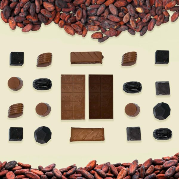 SMOOR Premium Celebration Box Chocolates Gift Pack | Luxury Gift Hamper For Birthday, Anniversary, Gifting & Special Occasions | Box of 20 (300gm) (20 Count (Pack of 1)) - Image 6